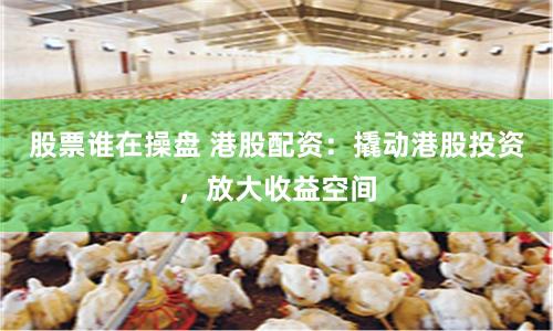 股票誰(shuí)在操盤 港股配資：撬動(dòng)港股投資，放大收益空間